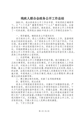 2024年残疾人联合会政务公开工作总结