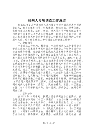 2024年残疾人专项调查工作总结