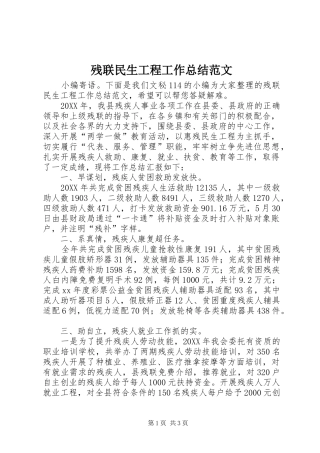 2024年残联民生工程工作总结范文