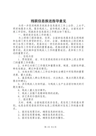 2024年残联信息报送指导意见