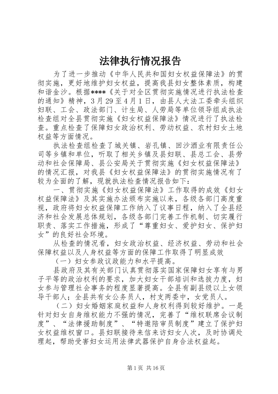 2024年法律执行情况报告_第1页