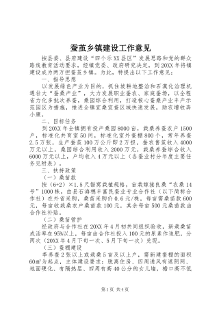 2024年蚕茧乡镇建设工作意见