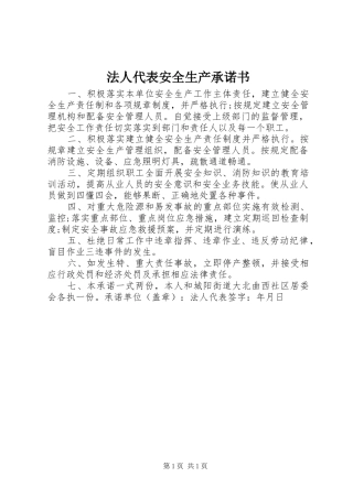 2024年法人代表安全生产承诺书