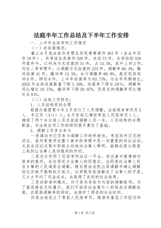 2024年法庭半年工作总结及下半年工作安排