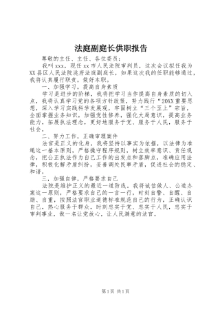 2024年法庭副庭长供职报告