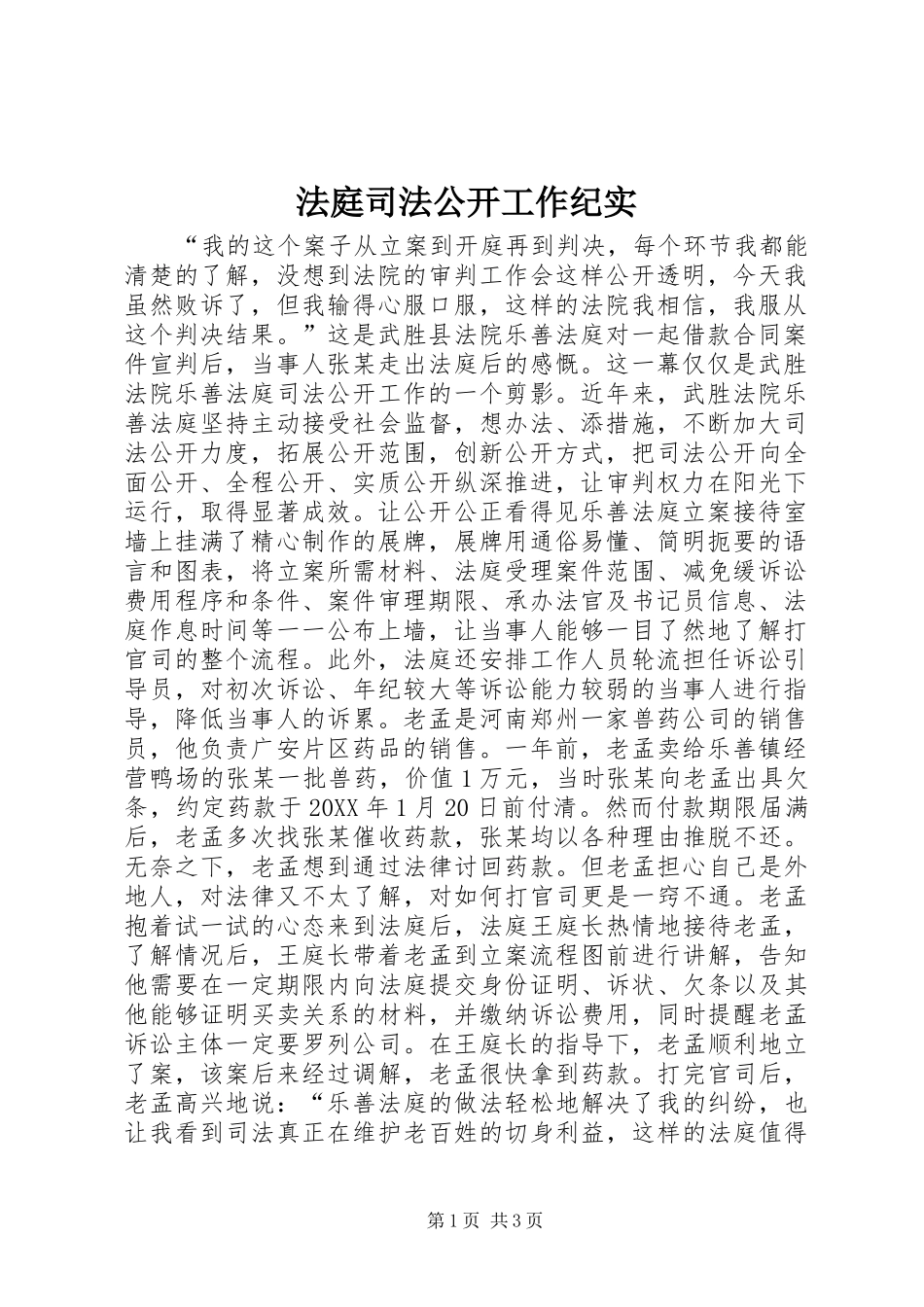 2024年法庭司法公开工作纪实_第1页