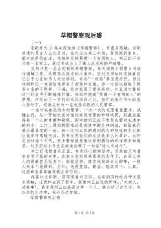 2024年草帽警察观后感