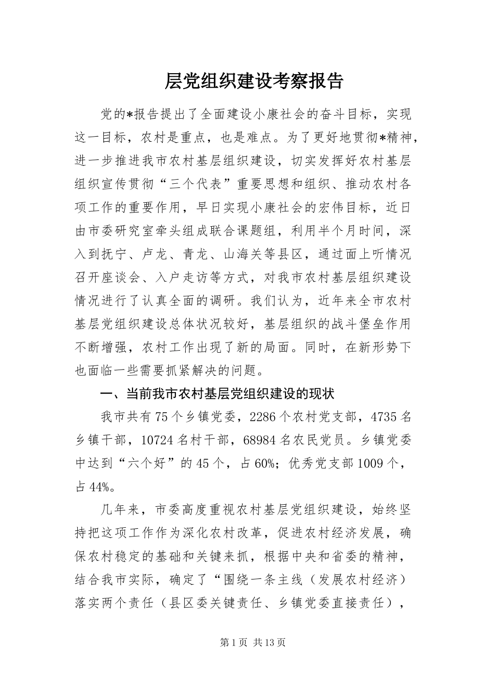 2024年层党组织建设考察报告_第1页