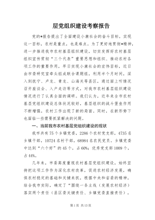 2024年层党组织建设考察报告