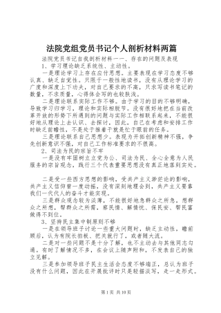 2024年法院党组党员书记个人剖析材料两篇