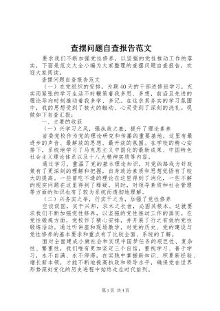 2024年查摆问题自查报告范文
