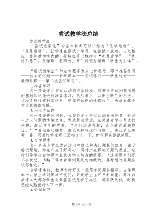 2024年尝试教学法总结