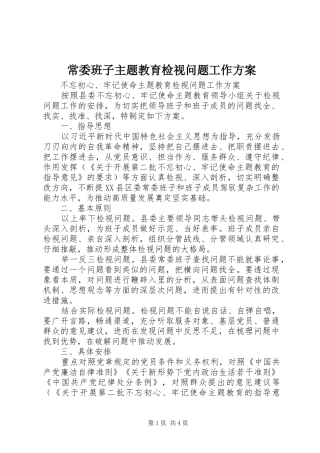 2024年常委班子主题教育检视问题工作方案