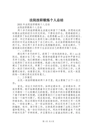 2024年法院挂职锻炼个人总结