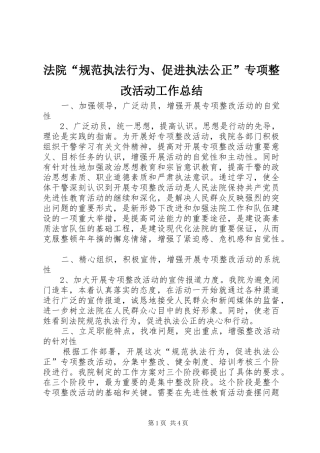 2024年法院规范执法行为促进执法公正专项整改活动工作总结