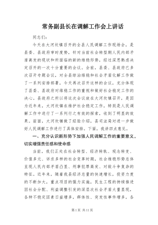 2024年常务副县长在调解工作会上致辞