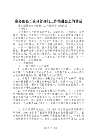 2024年常务副县长在分管部门工作推进会上的致辞