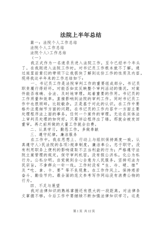 2024年法院上半年总结