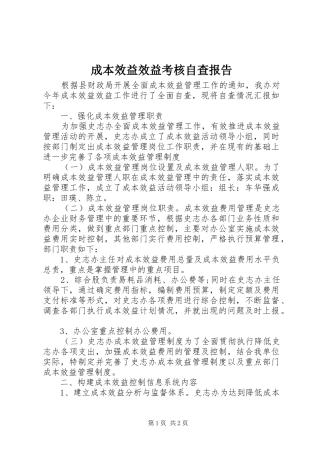 2024年成本效益效益考核自查报告