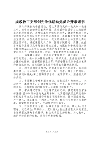 2024年成教教工支部创先争优活动党员公开承诺书