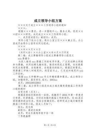 2024年成立领导小组方案