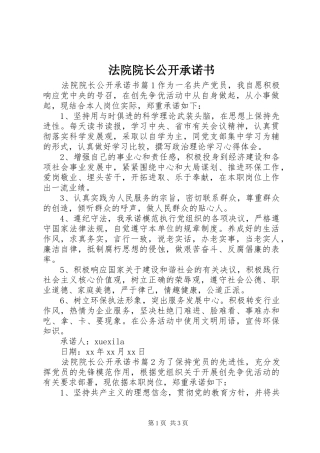 2024年法院院长公开承诺书