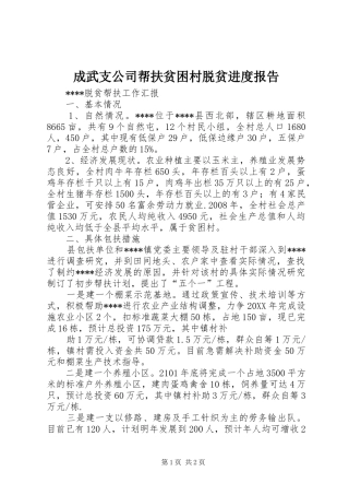 2024年成武支公司帮扶贫困村脱贫进度报告