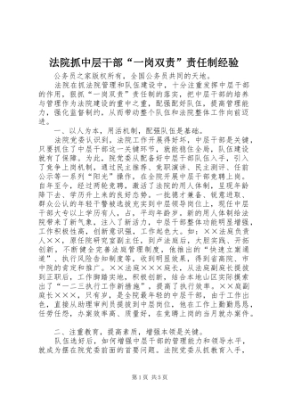 2024年法院抓中层干部一岗双责责任制经验