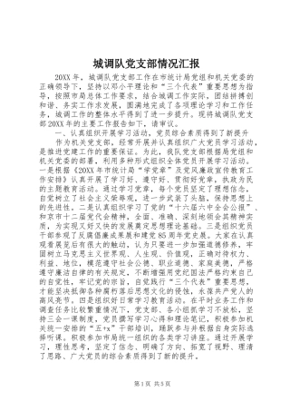 2024年城调队党支部情况汇报