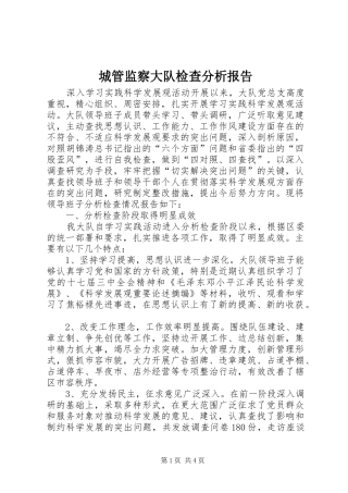 2024年城管监察大队检查分析报告