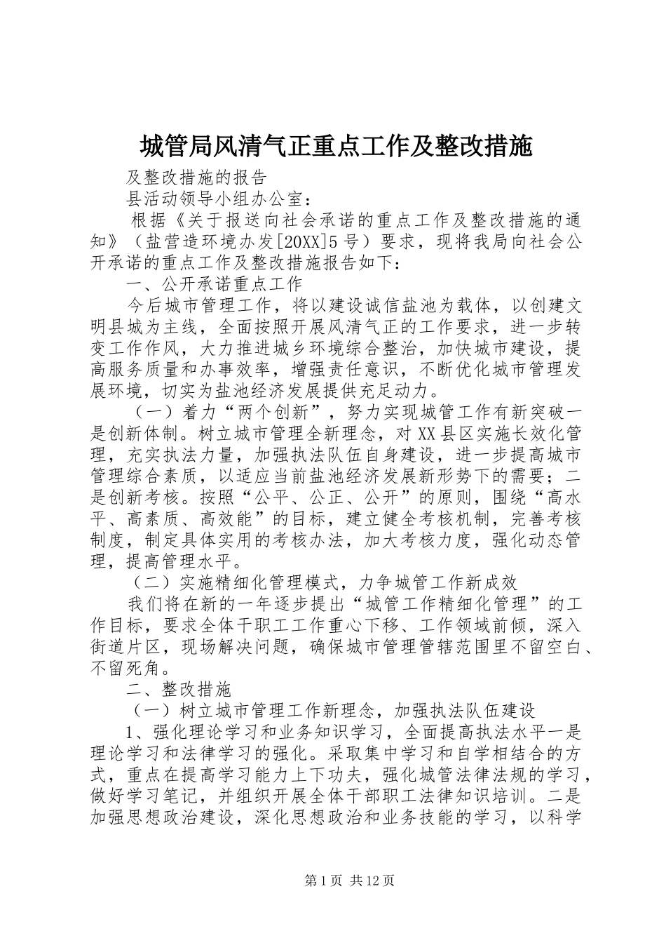 2024年城管局风清气正重点工作及整改措施_第1页