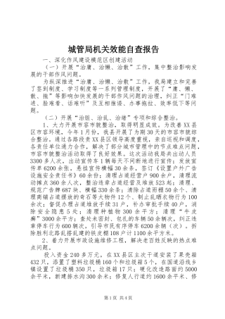 2024年城管局机关效能自查报告