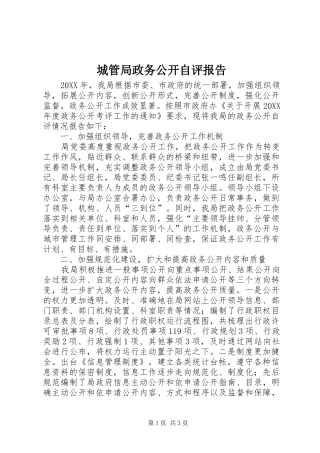 2024年城管局政务公开自评报告