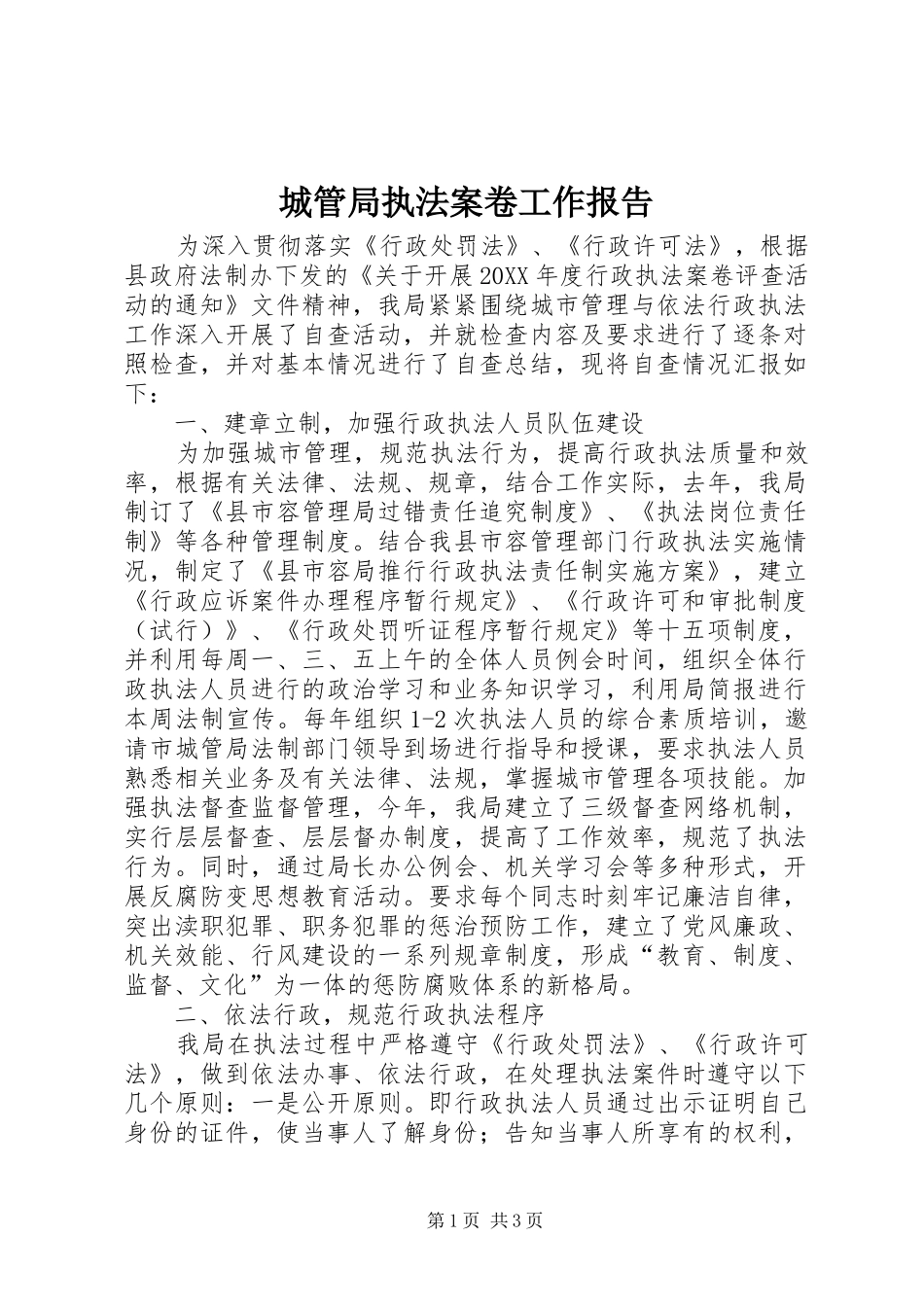 2024年城管局执法案卷工作报告_第1页