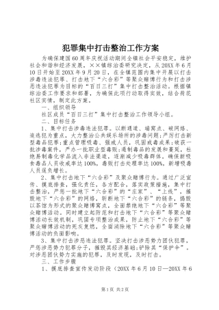 2024年犯罪集中打击整治工作方案