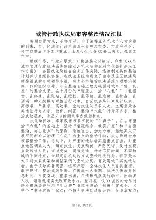 2024年城管行政执法局市容整治情况汇报
