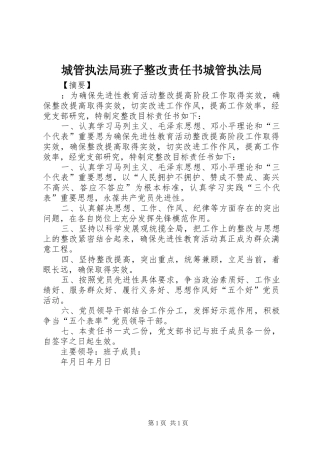 2024年城管执法局班子整改责任书城管执法局