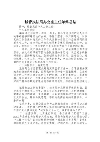 2024年城管执法局办公室主任年终总结