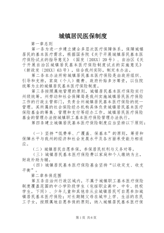 2024年城镇居民医保制度