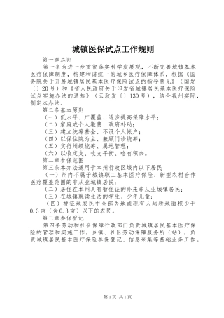 2024年城镇医保试点工作规则