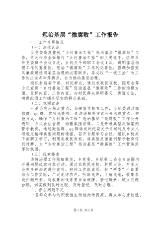 2024年惩治基层微腐败工作报告