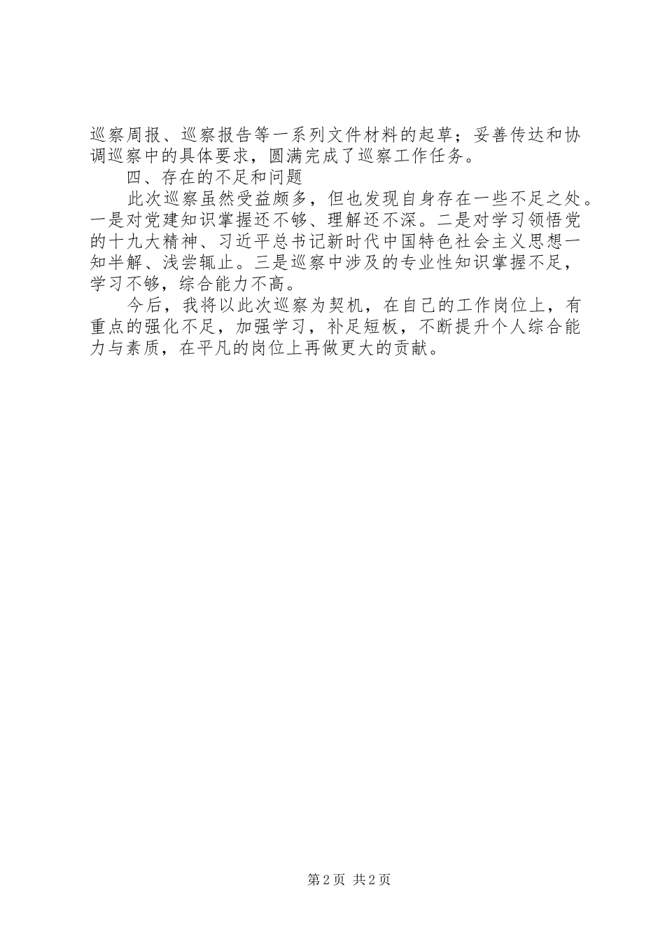 2024年抽调巡察联络员个人工作总结_第2页