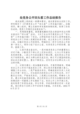 2024年处党务公开回头看工作总结报告