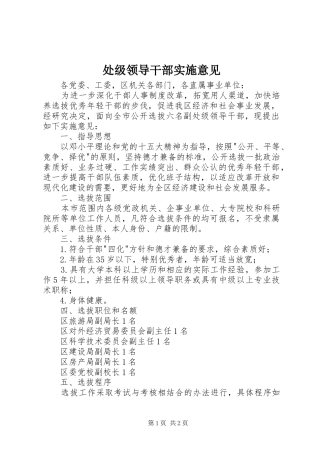 2024年处级领导干部实施意见
