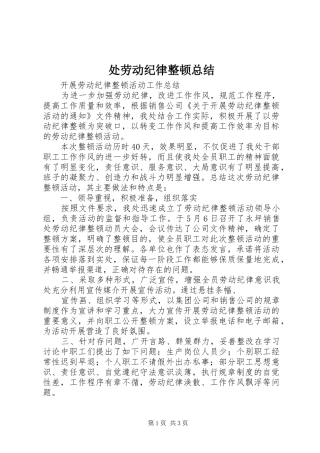 2024年处劳动纪律整顿总结