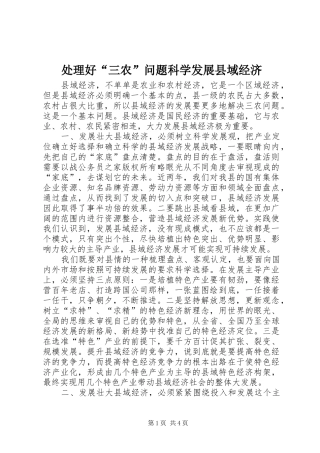 2024年处理好三农问题科学发展县域经济