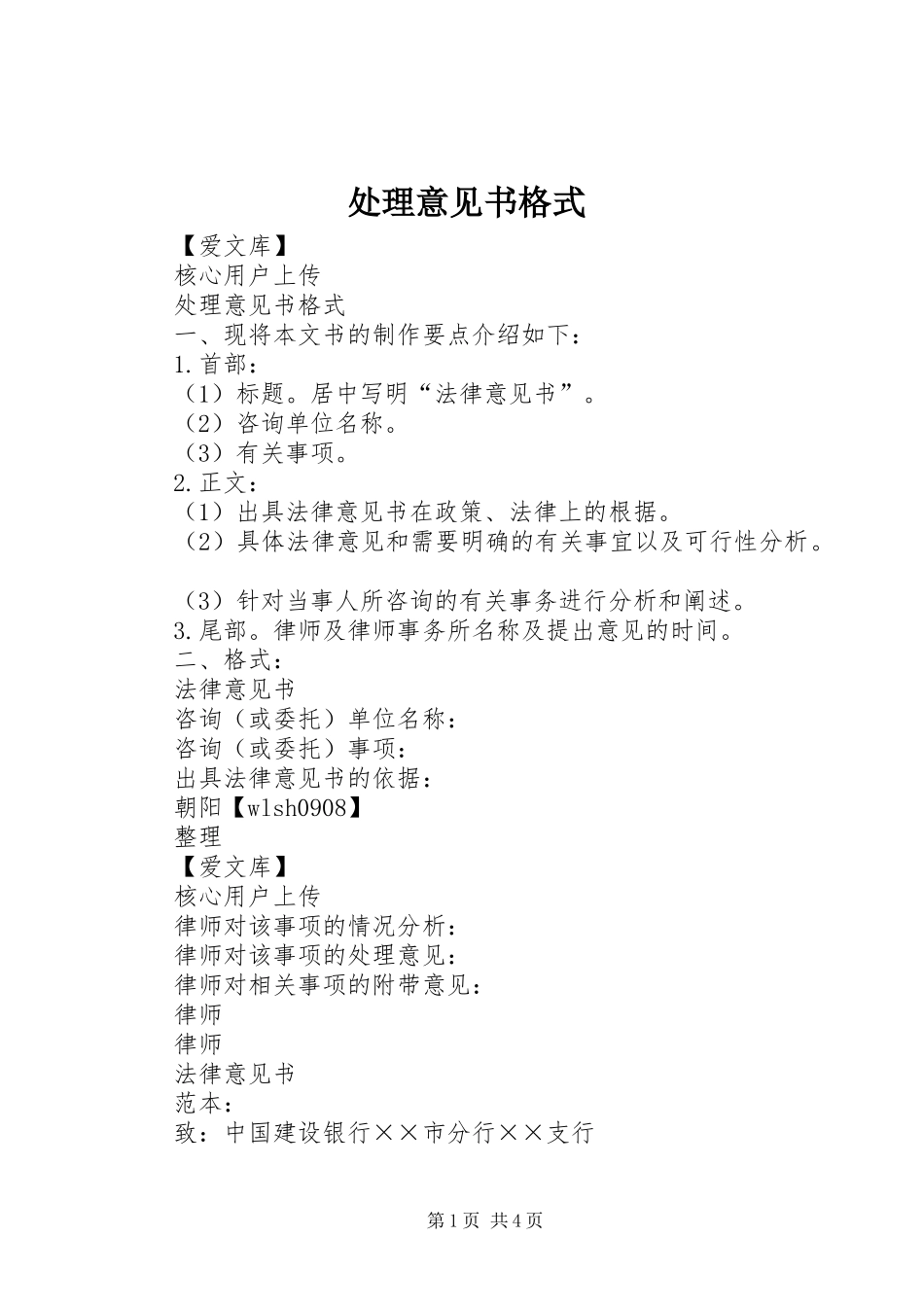 2024年处理意见书格式_第1页