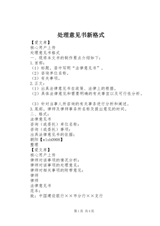 2024年处理意见书新格式
