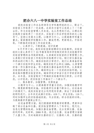 2024年肥合六八一中学实验室工作总结