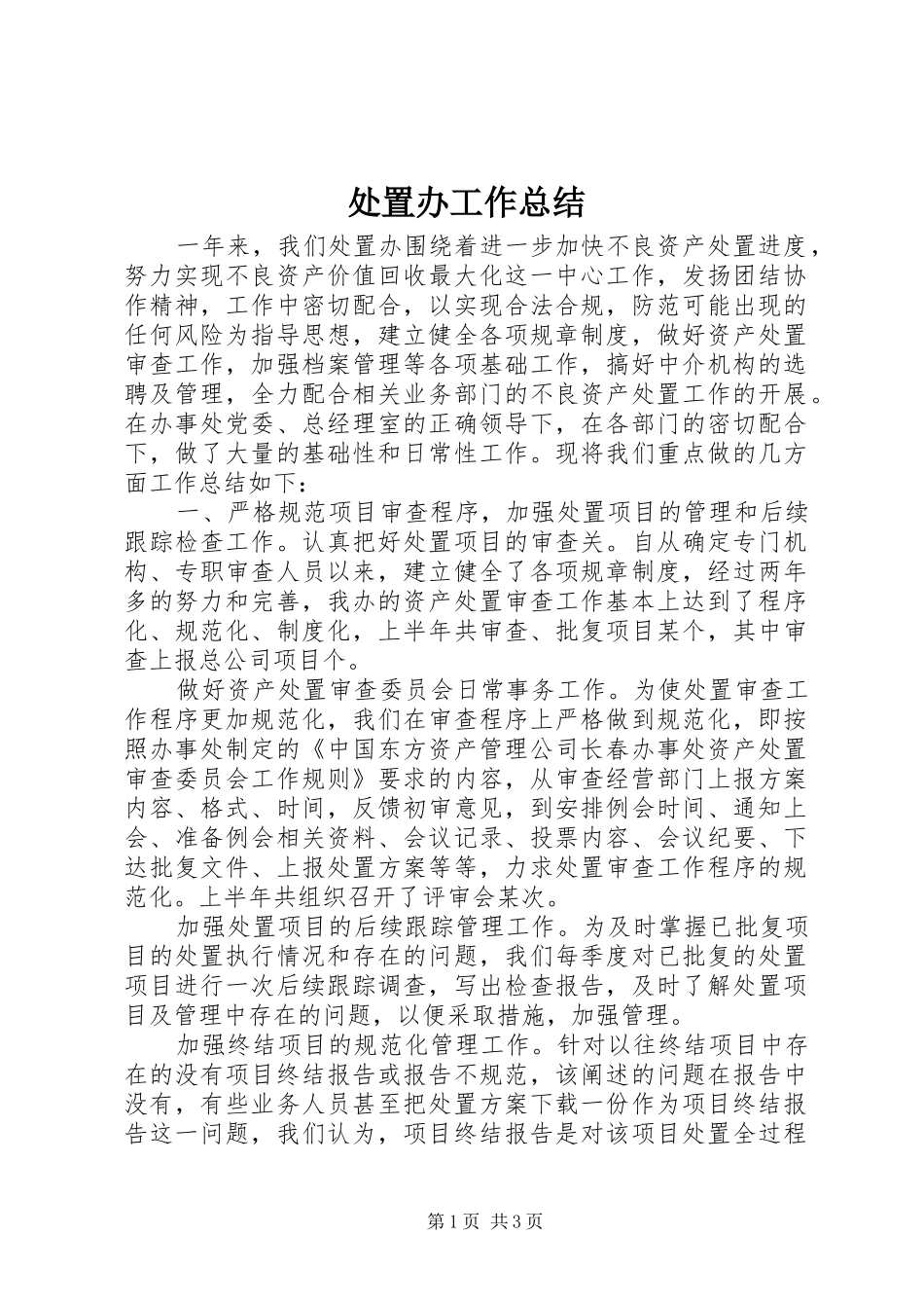 2024年处置办工作总结_第1页